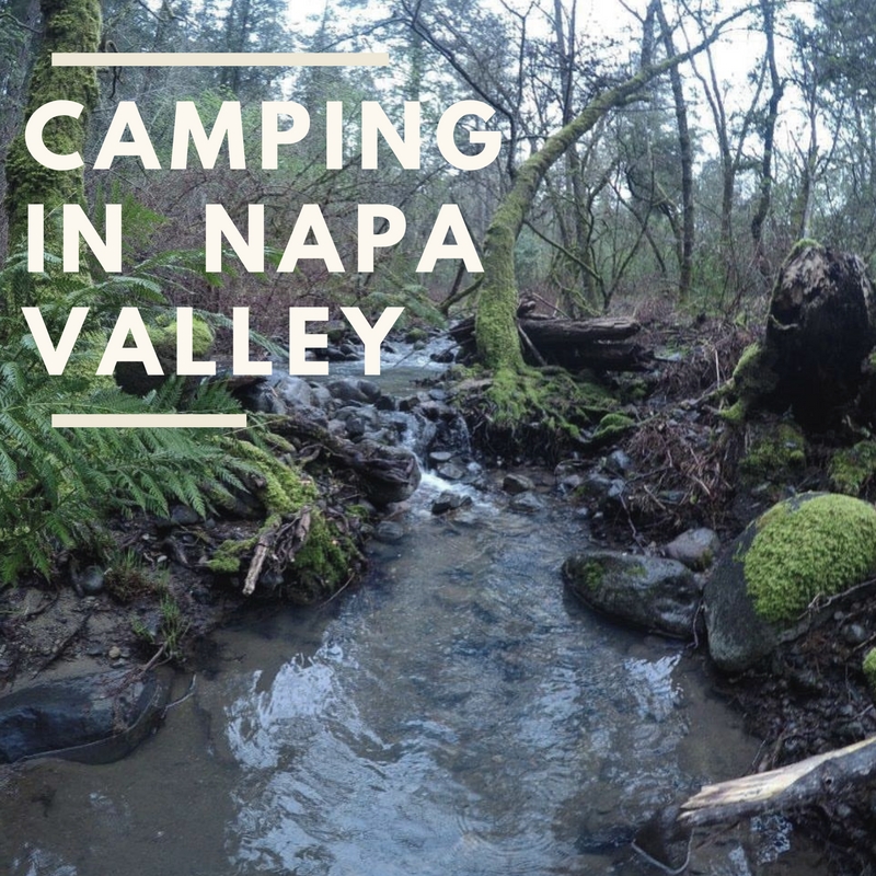 Camping Napa Valley