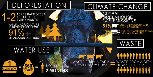 Cowspiracy-animal-factory-FACTS